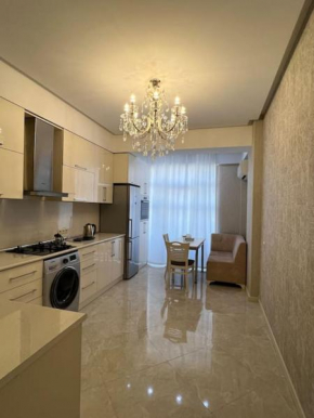 Comfy 2 bedroom Near Heydar Aliyev centre